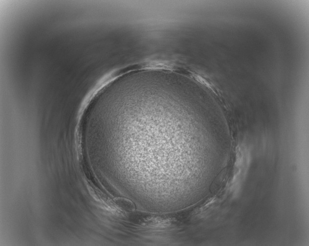 X0000062130343200512121221