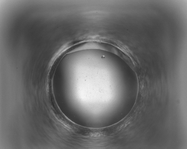 X0000062130344200512121221