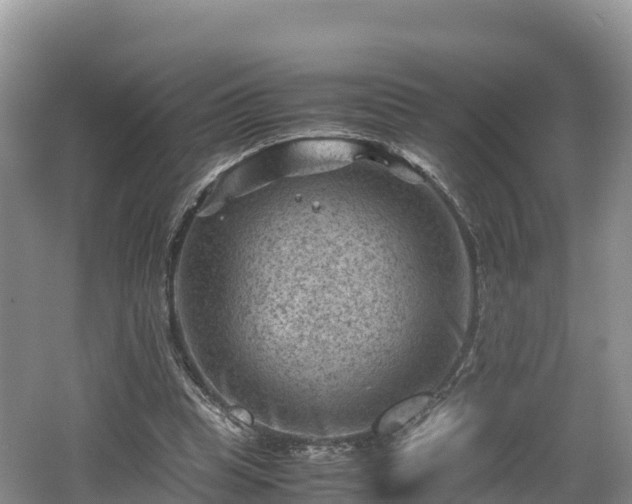 X0000062130345200512121221