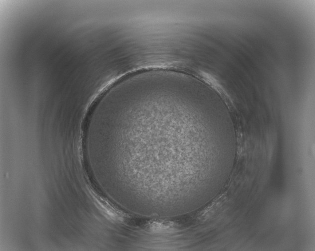 X0000062130346200512121221