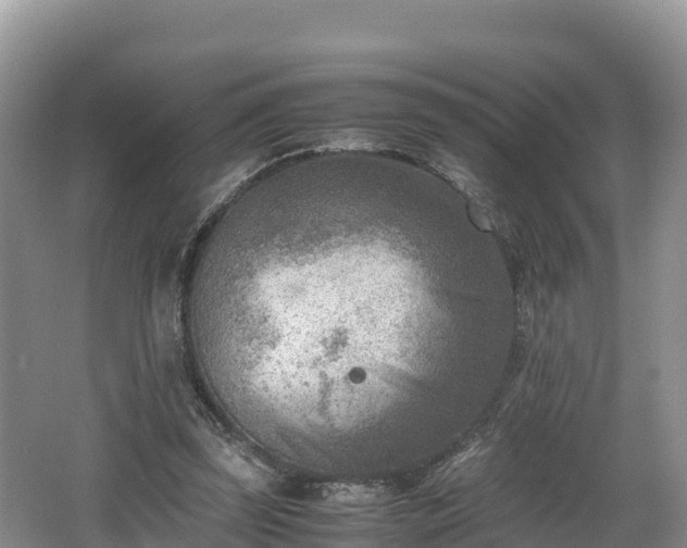 X0000062130347200512121221