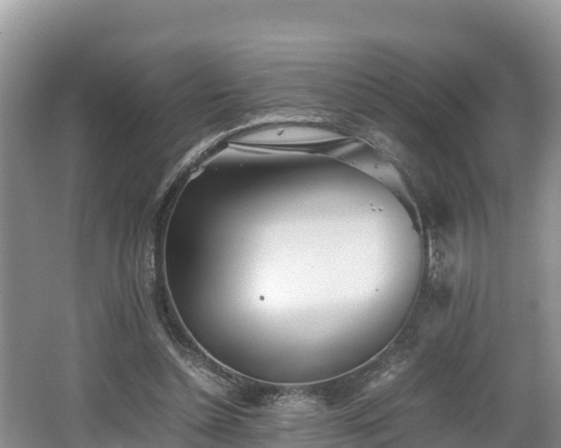 X0000062130348200512121221