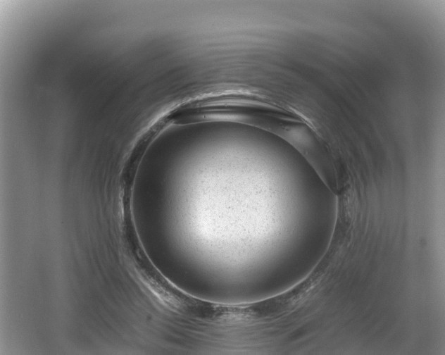 X0000062130350200512121221