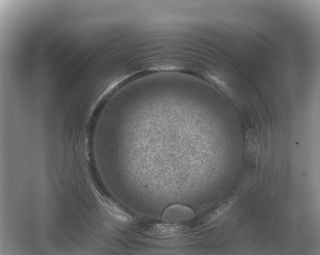 X0000062130351200512121221