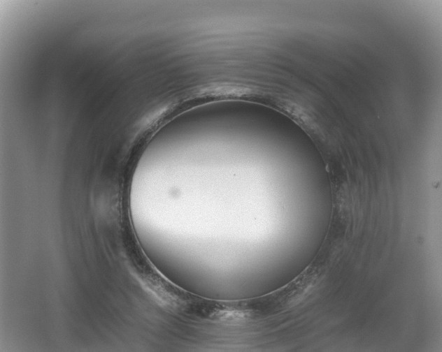 X0000062130352200512121221