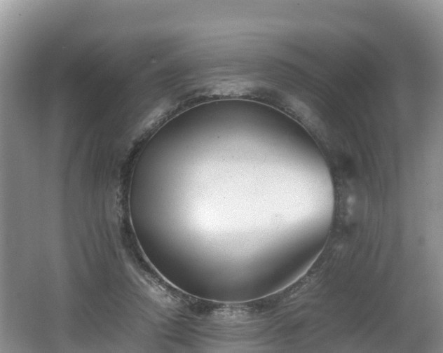 X0000062130354200512121221