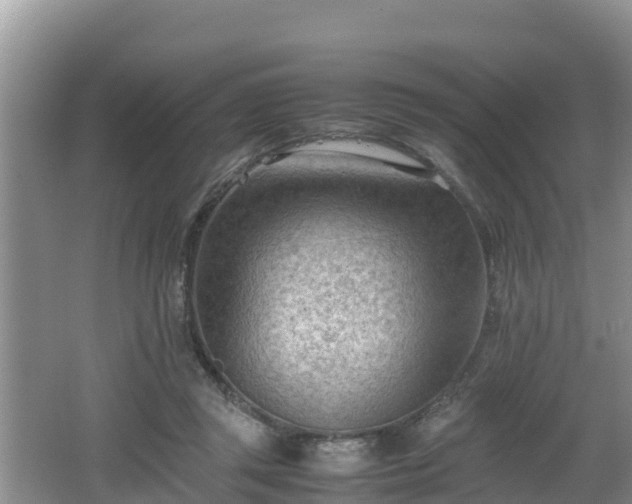 X0000062130357200512121221