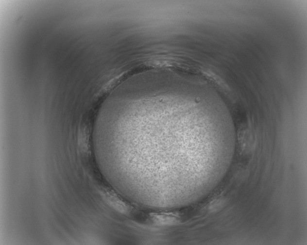 X0000062130359200512121221