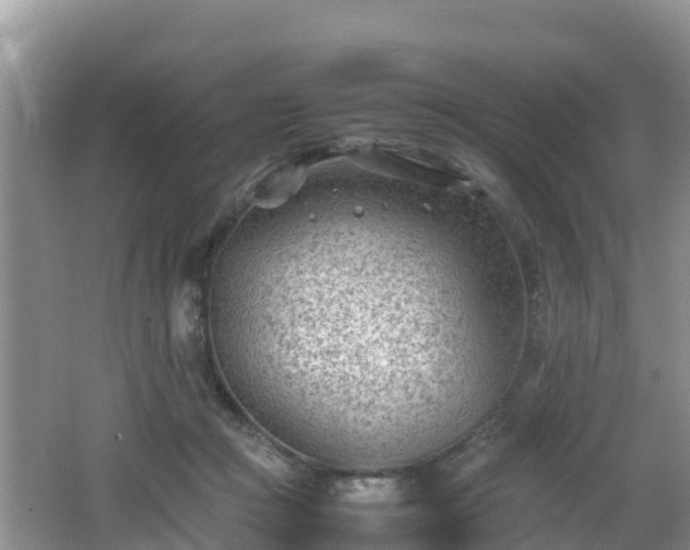 X0000062130361200512121221