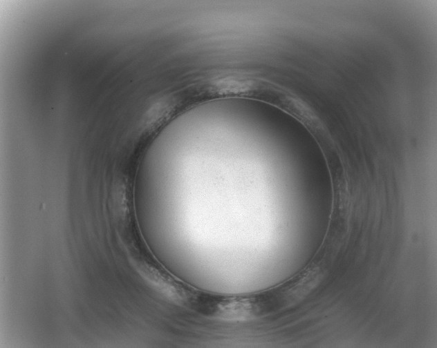 X0000062130362200512121221