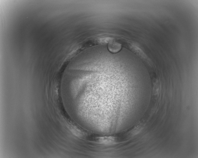 X0000062130363200512121221