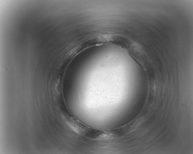 X0000062130364200512121221