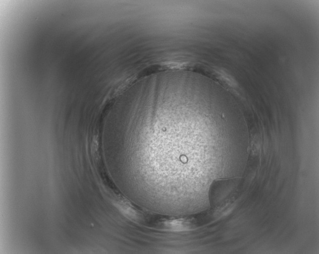 X0000062130365200512121221