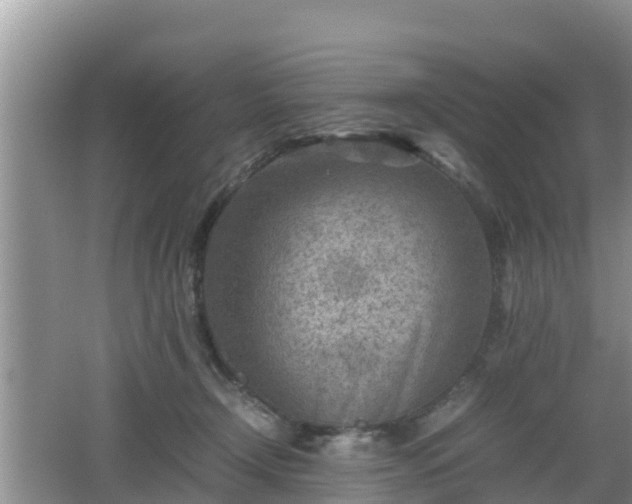 X0000062130366200512121221