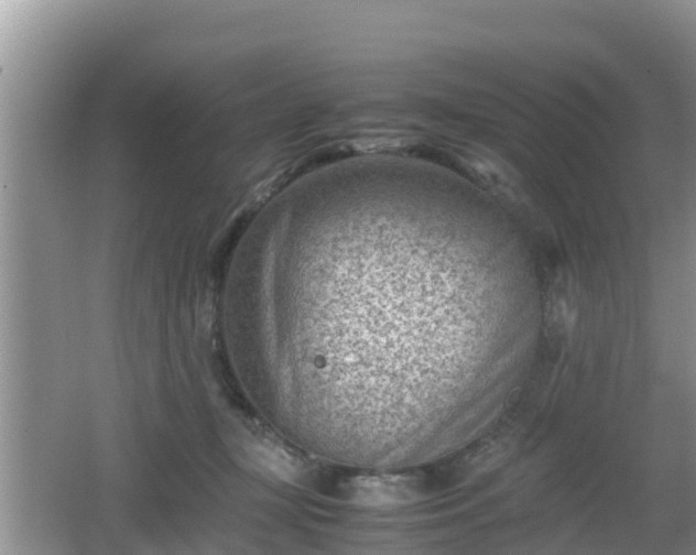 X0000062130367200512121221