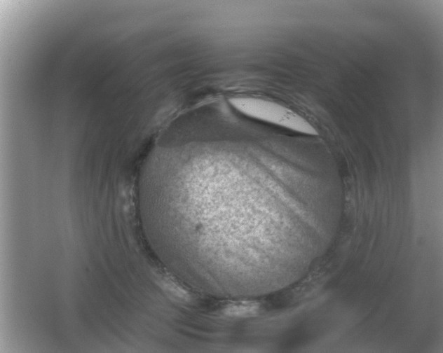 X0000062130369200512121221