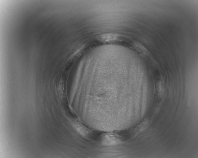 X0000062130372200512121221