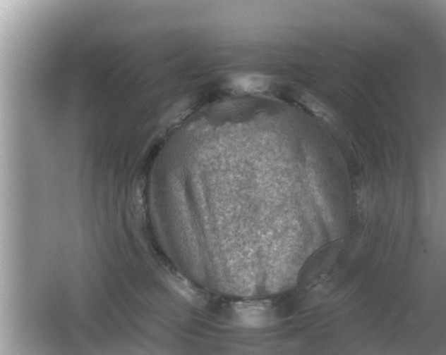 X0000062130373200512121221