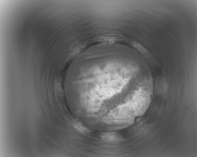 X0000062130377200512121222