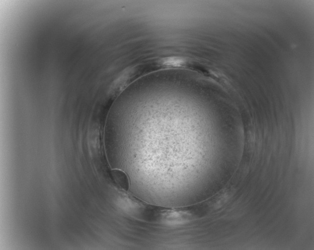 X0000062130379200512121222