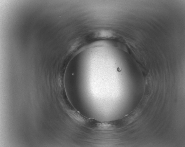 X0000062130380200512121222