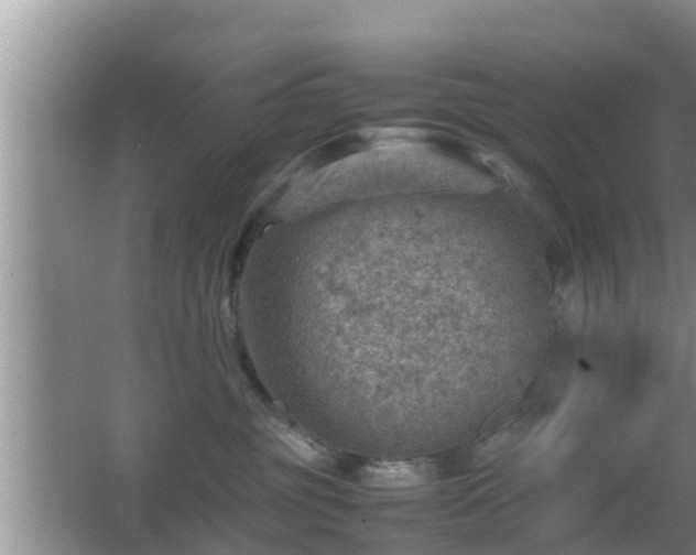 X0000062130381200512121222