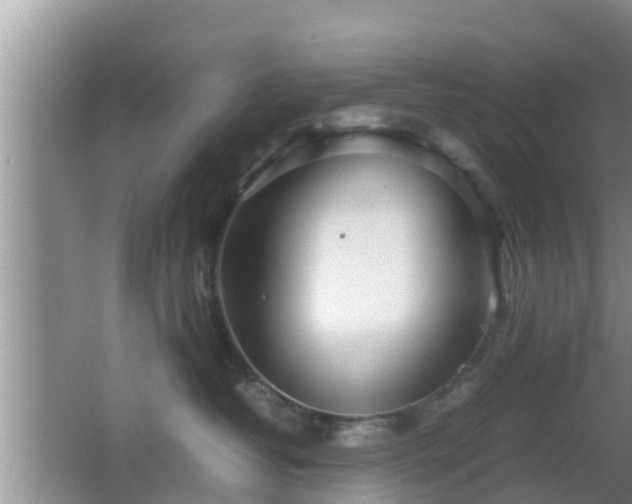 X0000062130382200512121222