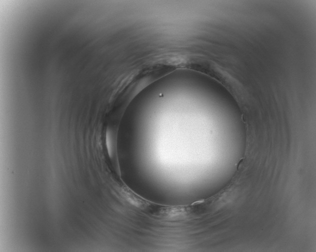 X0000062130384200512121222