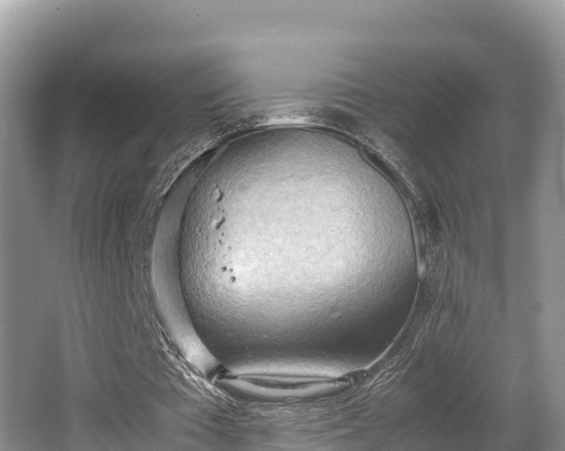 X0000062130385200512121221