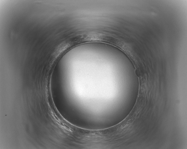 X0000062130386200512121221