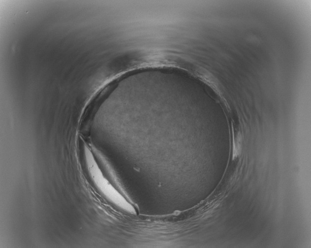 X0000062130387200512121221