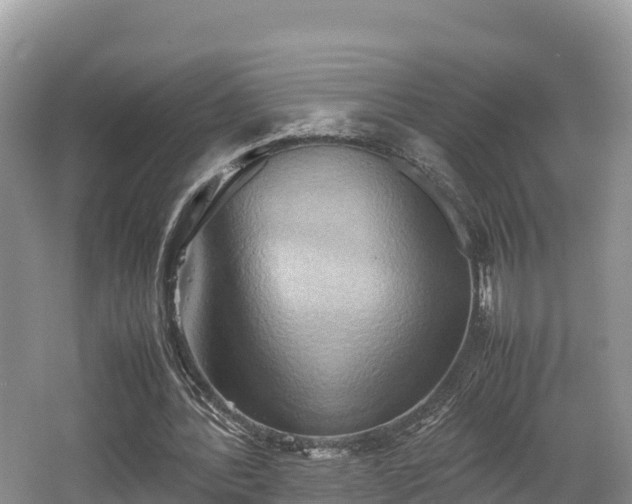 X0000062130388200512121221