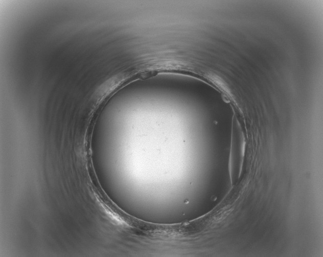 X0000062130389200512121221