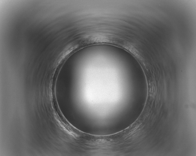 X0000062130390200512121221