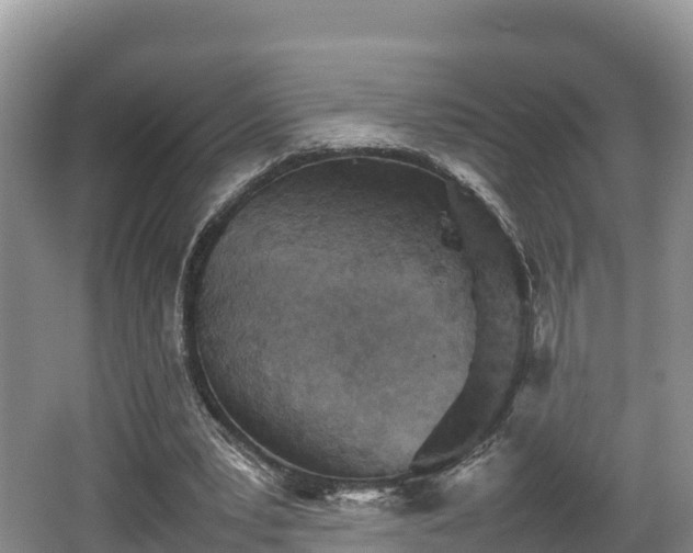 X0000062130391200512121221