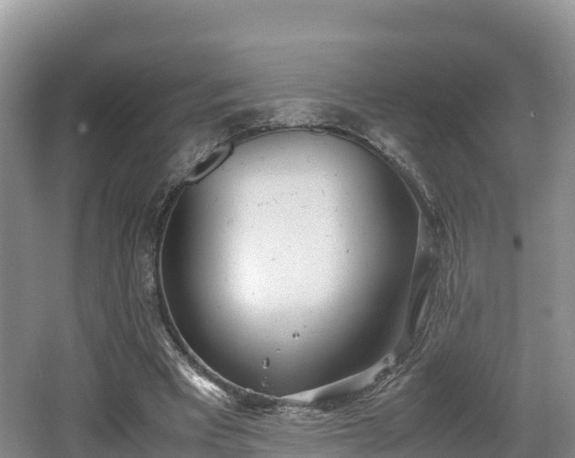 X0000062130393200512121221