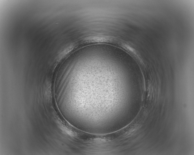 X0000062130394200512121221