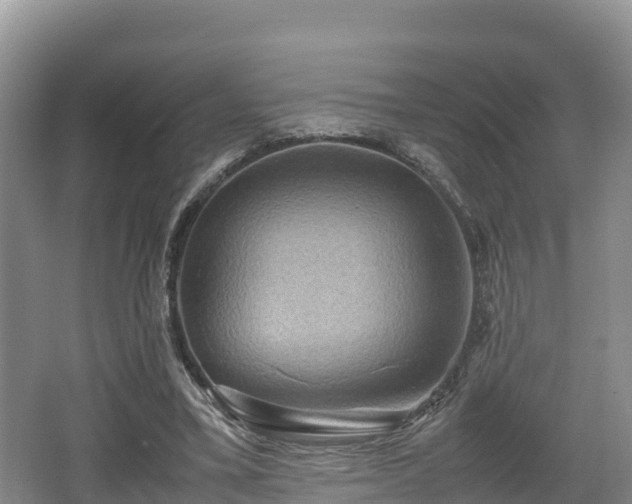 X0000062130395200512121221