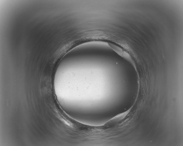 X0000062130397200512121221