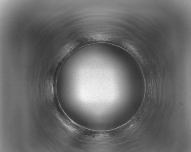 X0000062130398200512121221