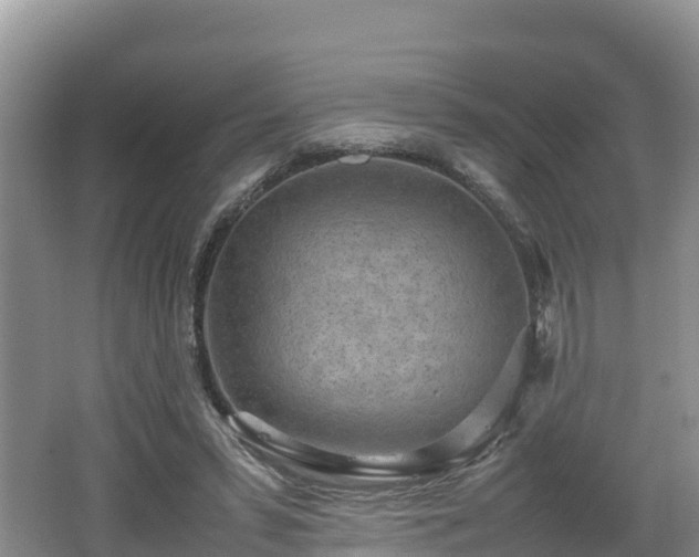 X0000062130399200512121221