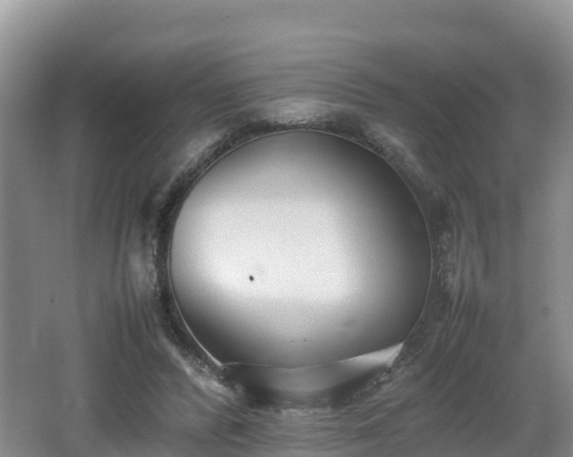 X0000062130400200512121221