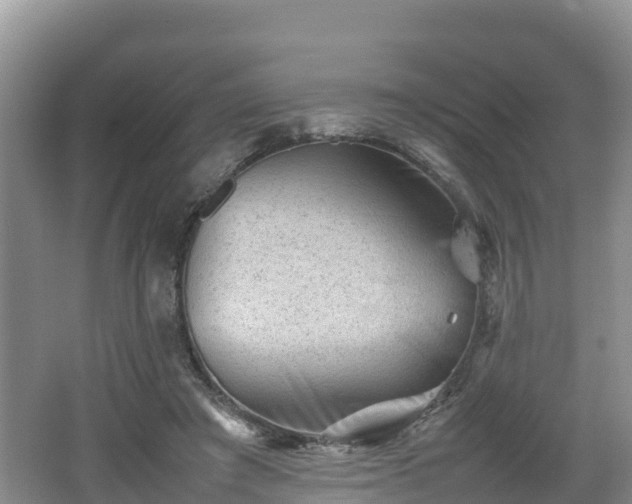 X0000062130401200512121221