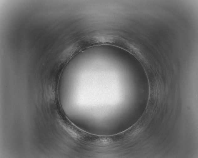 X0000062130402200512121221