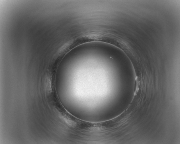 X0000062130404200512121221