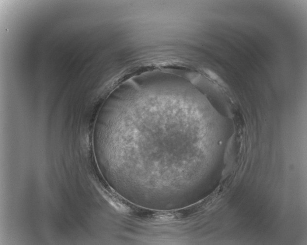 X0000062130405200512121221