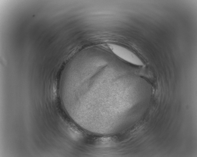 X0000062130406200512121221