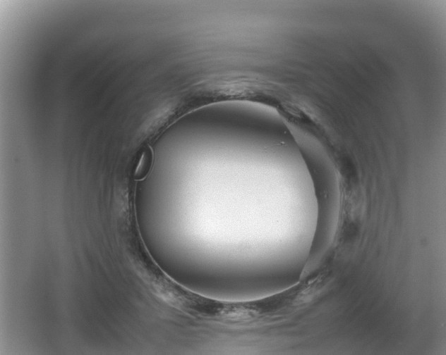 X0000062130407200512121220