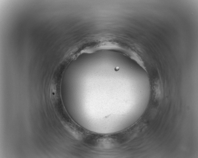 X0000062130408200512121220