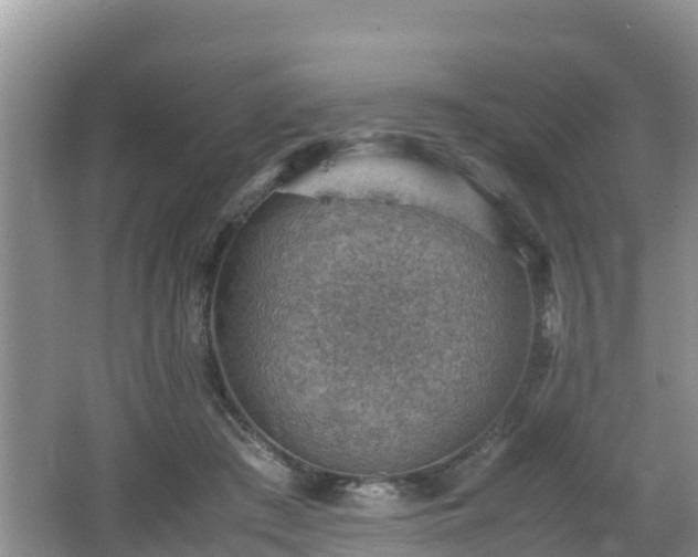 X0000062130409200512121220